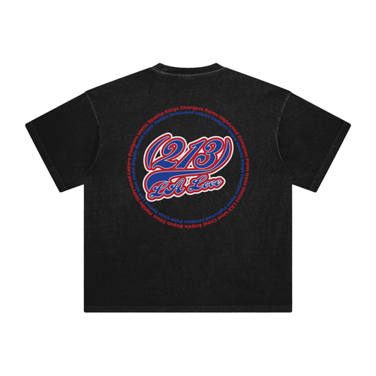 "213 LA Love Angels Colorway"  Enzyme Washed T-Shirt